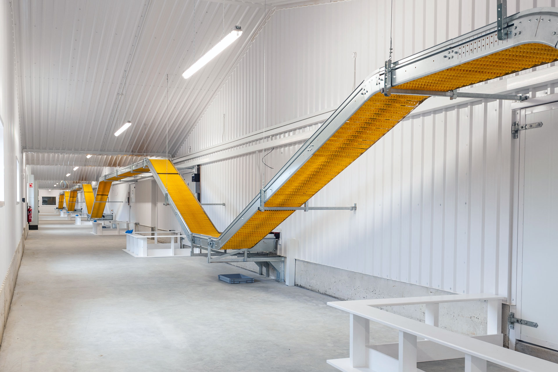 Poultry Building Specialists